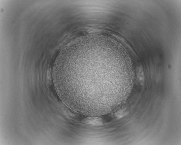 X0000066530667200603241403