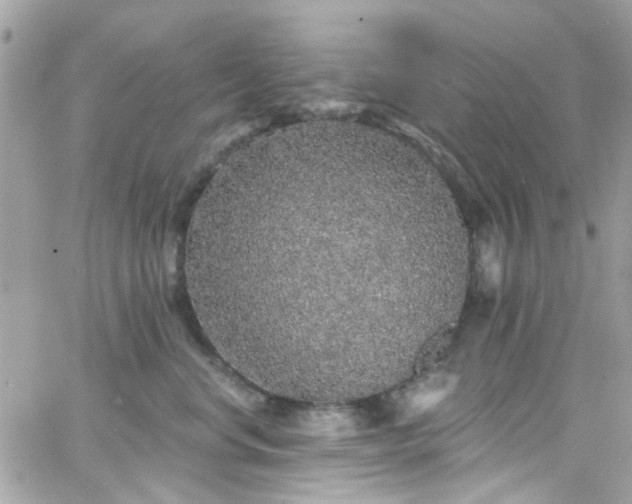 X0000066530668200603241403