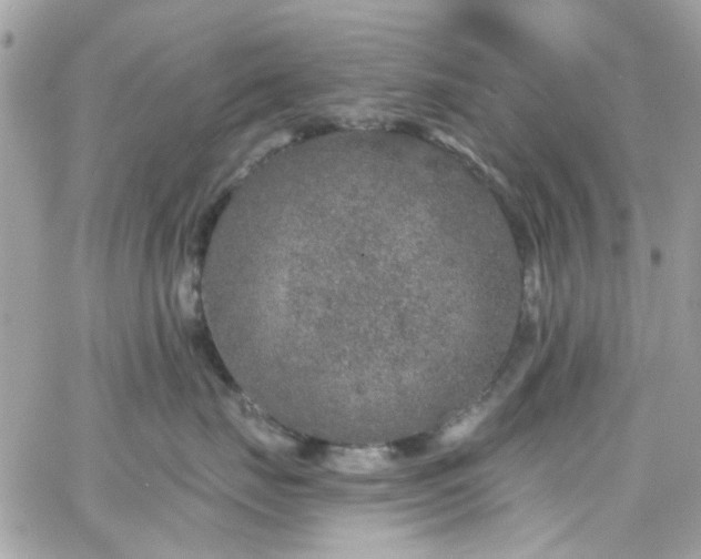 X0000066530671200603241403