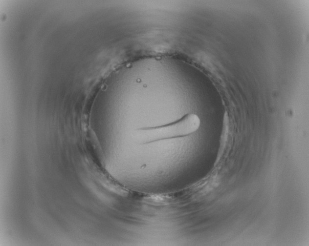 X0000066530672200603241403