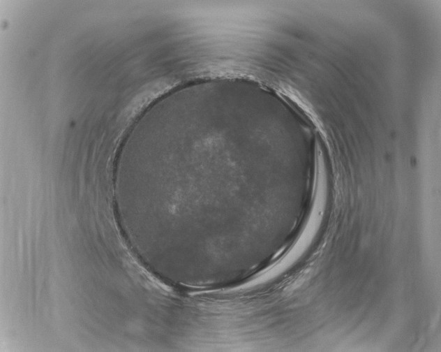 X0000066530673200603241402