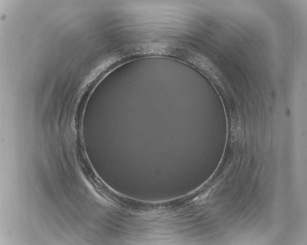 X0000066530674200603241402