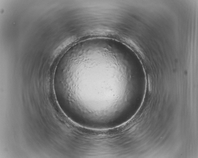 X0000066530675200603241402