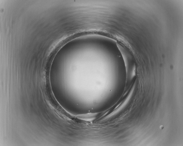 X0000066530676200603241402