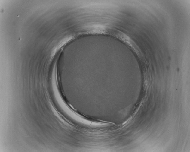 X0000066530677200603241402