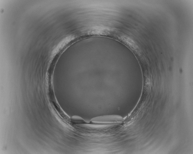 X0000066530678200603241402