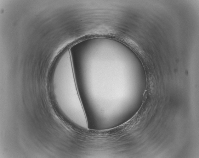 X0000066530680200603241402