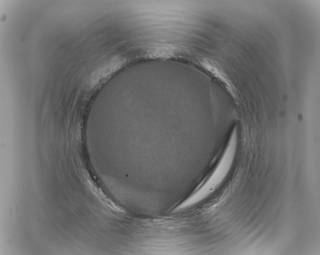 X0000066530681200603241402