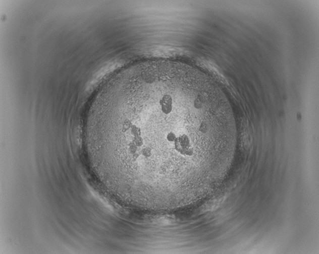 X0000066530683200603241402