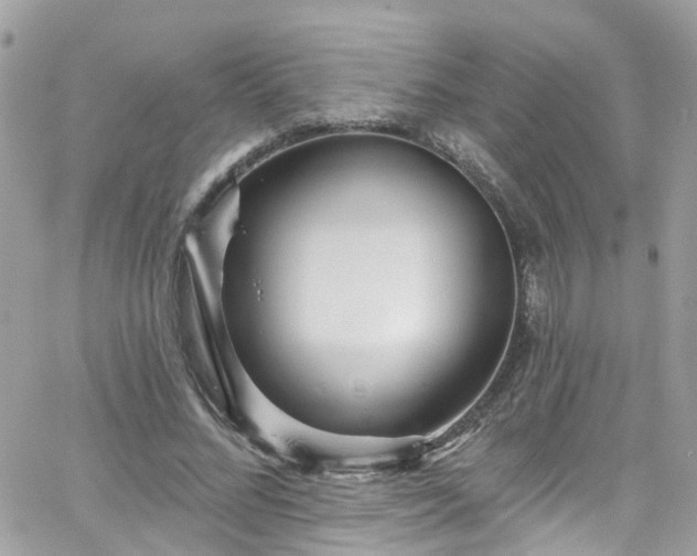 X0000066530684200603241402