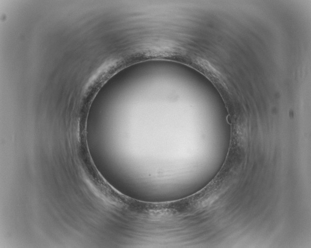 X0000066530686200603241402