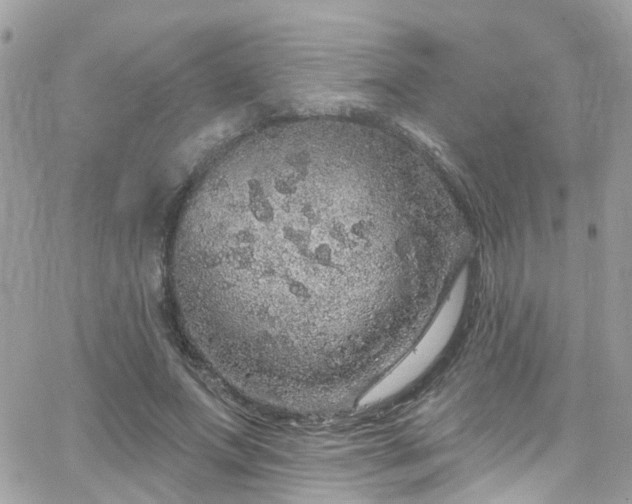 X0000066530687200603241402