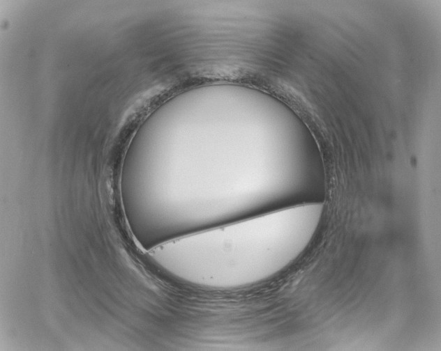 X0000066530688200603241402