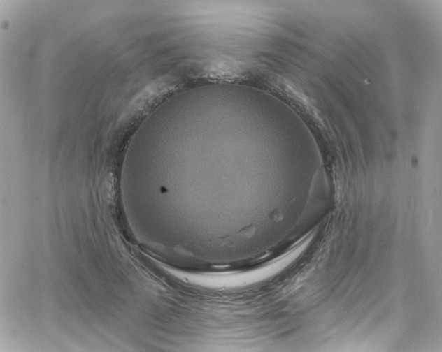 X0000066530689200603241402