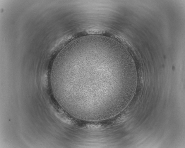 X0000066530690200603241402