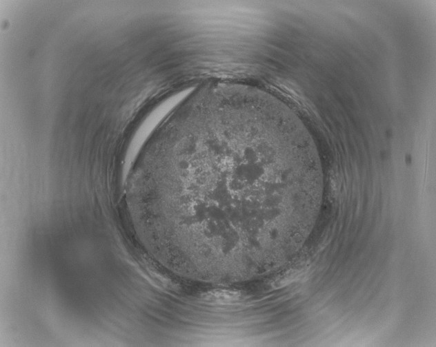 X0000066530691200603241402