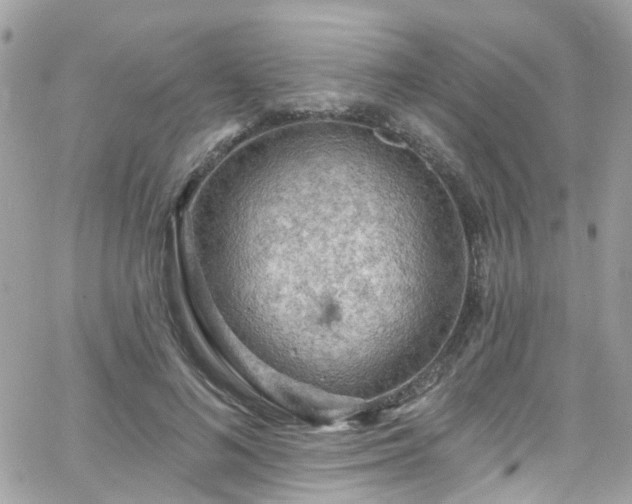 X0000066530692200603241402