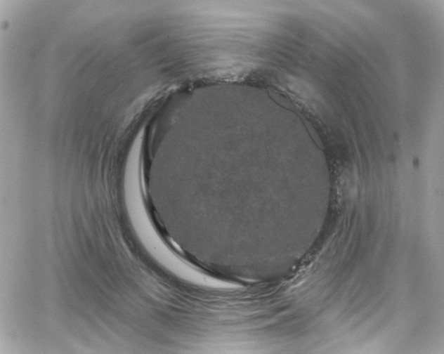 X0000066530693200603241402