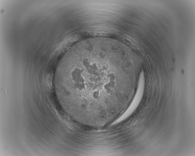 X0000066530695200603241402