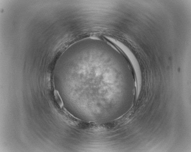 X0000066530696200603241402