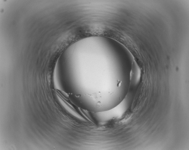 X0000066530697200603241402