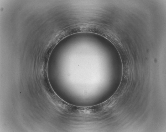 X0000066530698200603241402