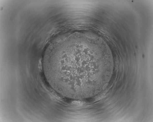 X0000066530699200603241402