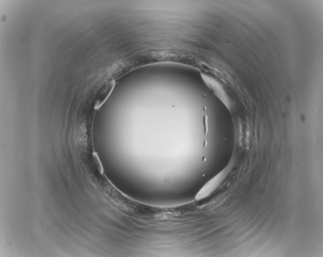 X0000066530700200603241402