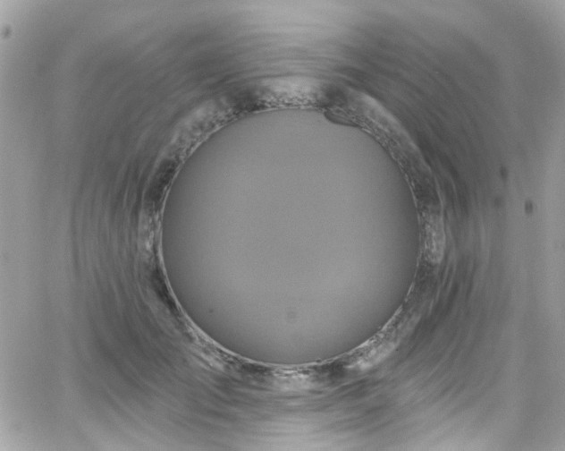 X0000066530701200603241402