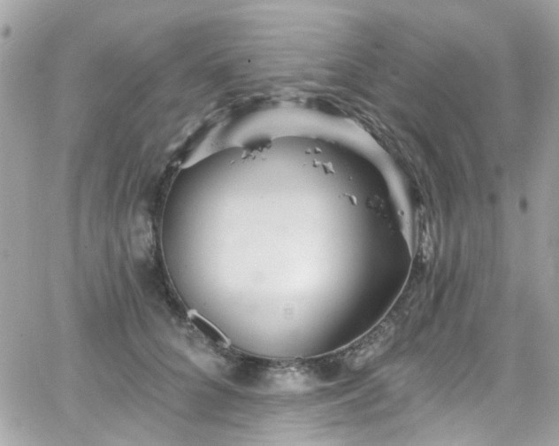 X0000066530704200603241402