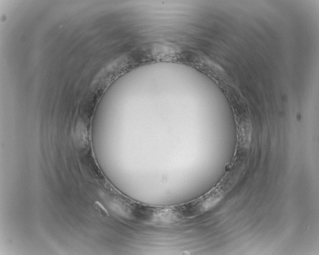 X0000066530705200603241402