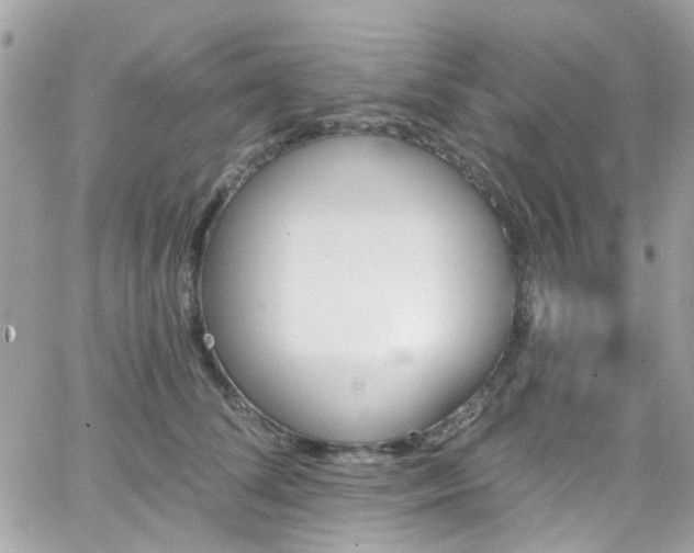 X0000066530708200603241402