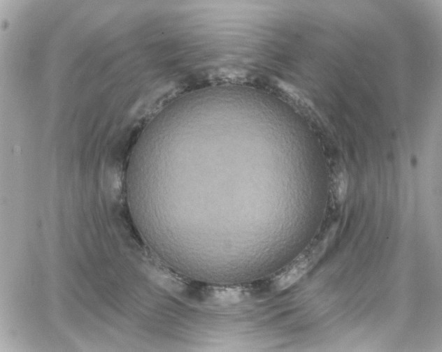 X0000066530709200603241402