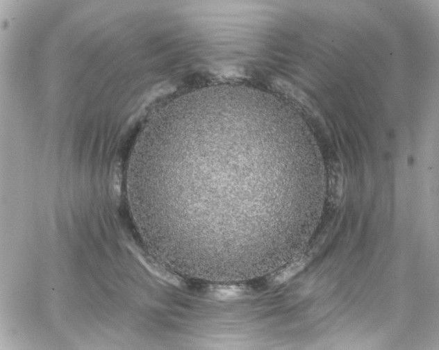 X0000066530710200603241402