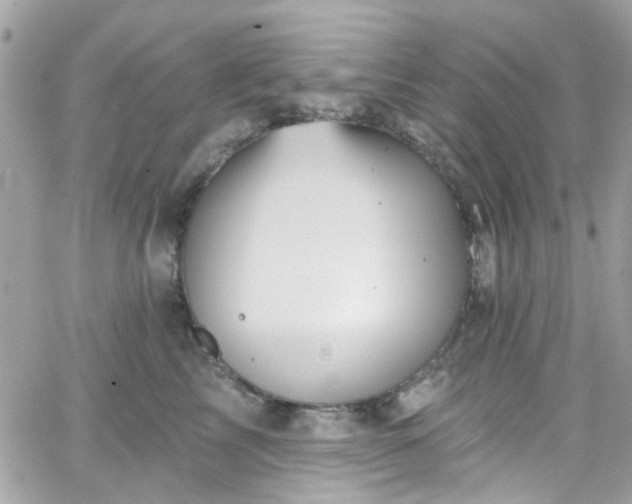 X0000066530713200603241402