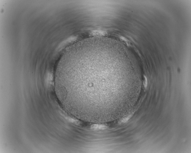 X0000066530714200603241402