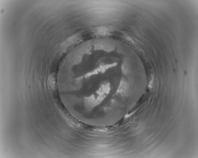 X0000066530715200603241402