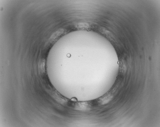 X0000066530717200603241401