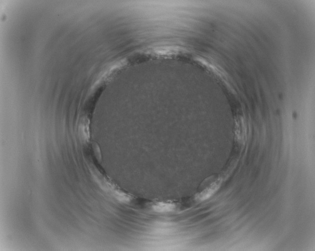 X0000066530718200603241401