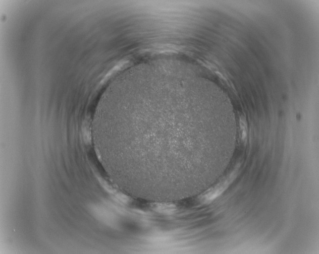 X0000066530719200603241401