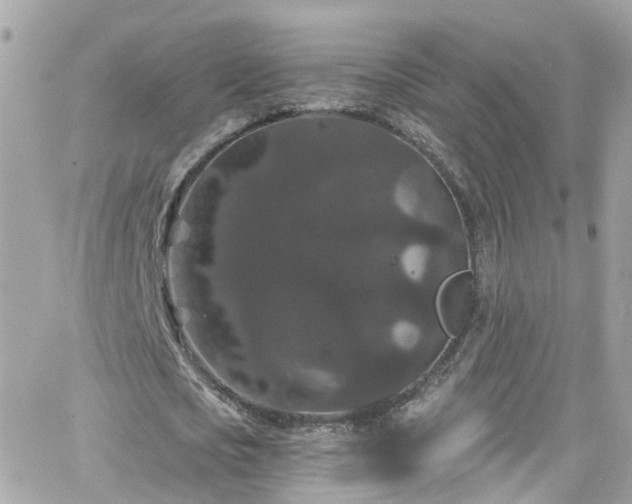 X0000066530721200603241401