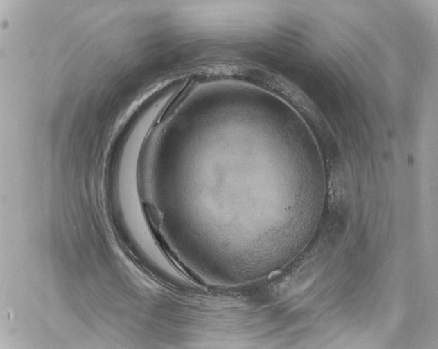 X0000066530722200603241401