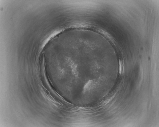 X0000066530723200603241401