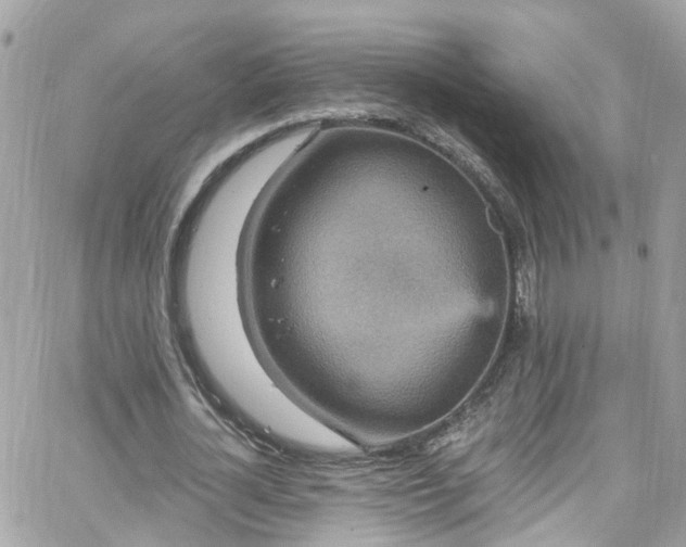 X0000066530724200603241401