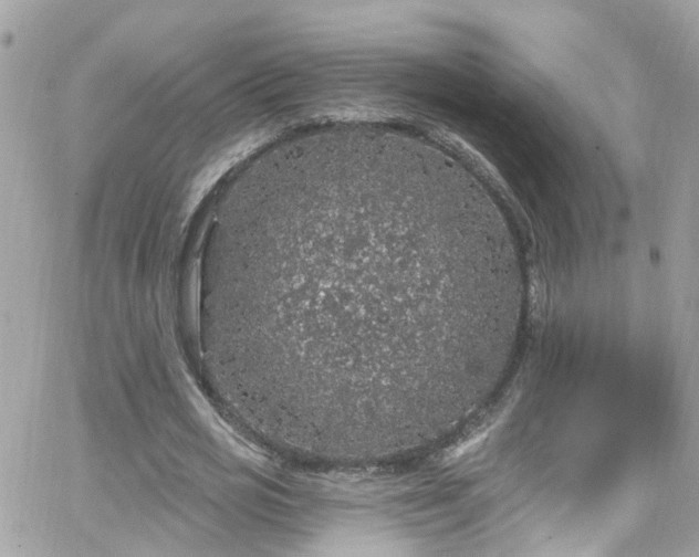 X0000066530725200603241401