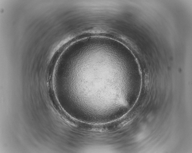 X0000066530727200603241401