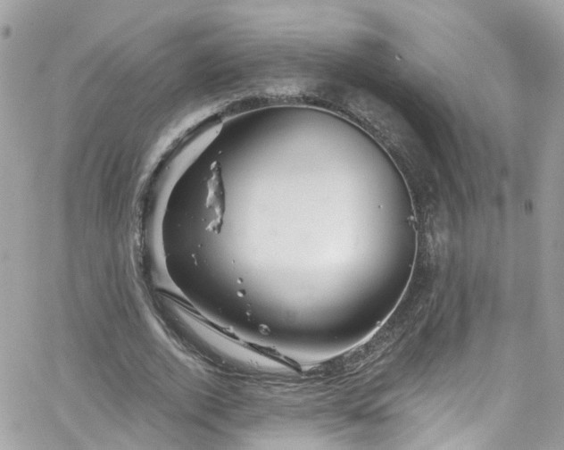 X0000066530728200603241401