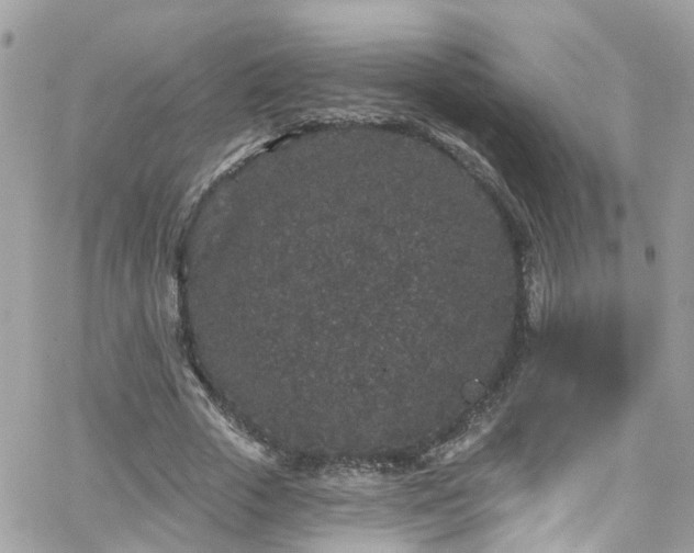 X0000066530729200603241401