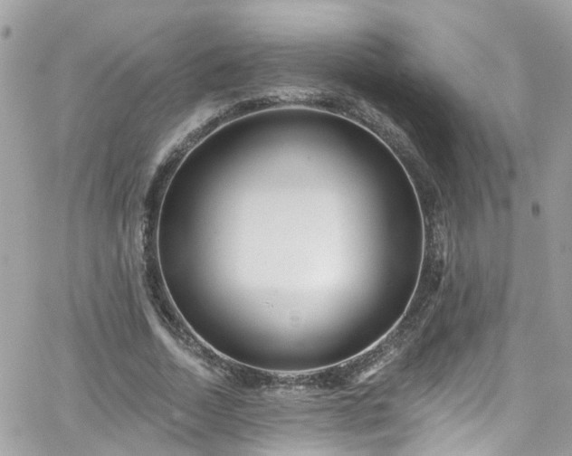 X0000066530730200603241401