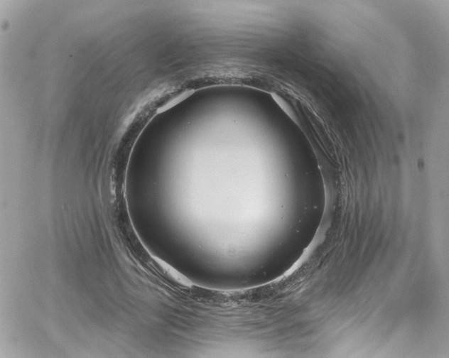 X0000066530731200603241401